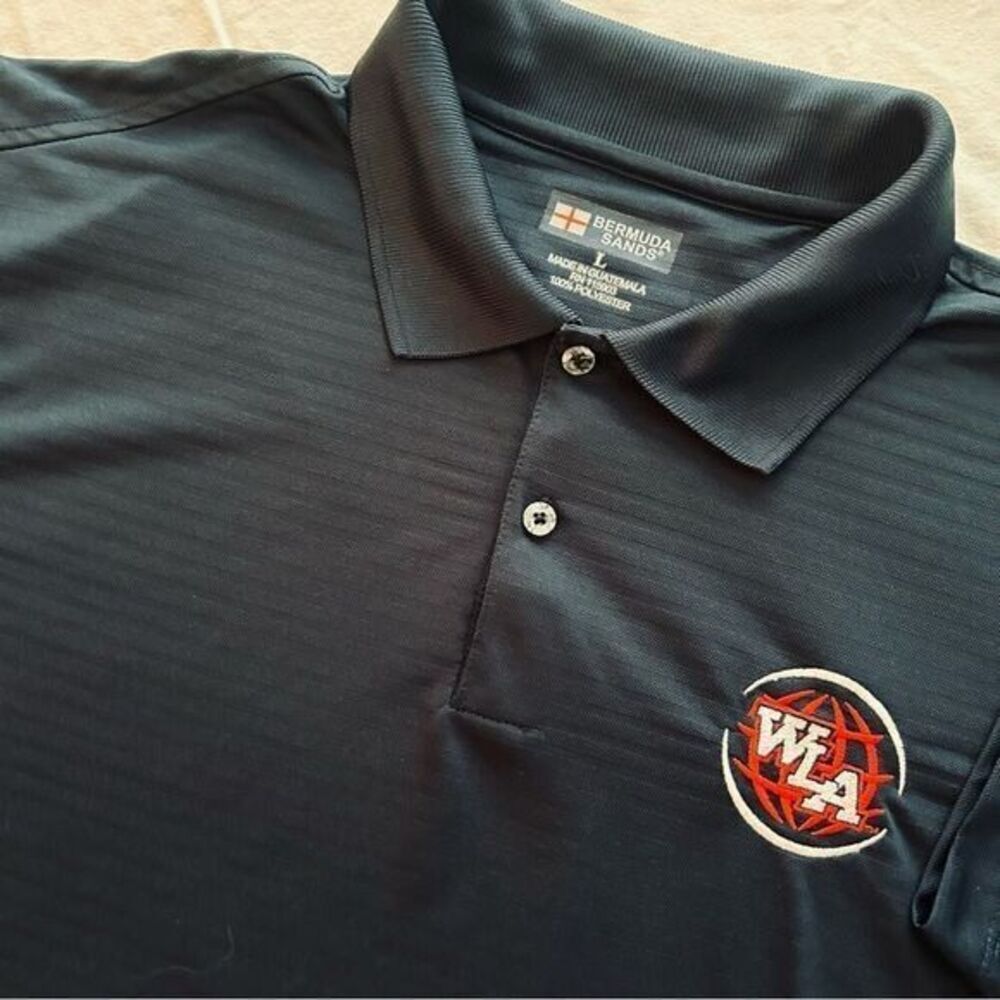 World Language Academy Golf Shirt Men's Large Hall County Schools Navy S/S